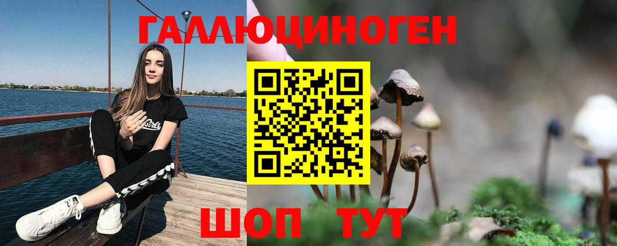 Галлюциногенные грибы Magic Shrooms  Вход с VPN  Лесосибирск  Псилоцибиновые грибы Psilocybine cubensis 